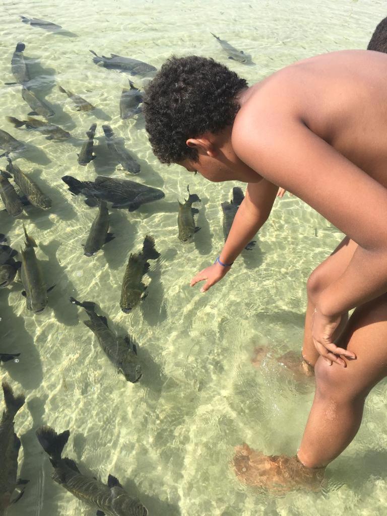 Villa Das Aguas -Praia Do Saco -Proximo As Lagoas Dos Tambaquis E Mangue Seco -Terreo Эстансия Экстерьер фото